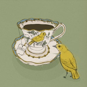 Image of Jacky Winter <br><i><small>prices in AU$</small></i>