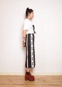 Image of X SKIRT