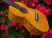Image of Ohana CK-15WG Willow Concert