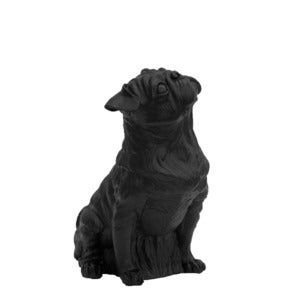 Image of PUG