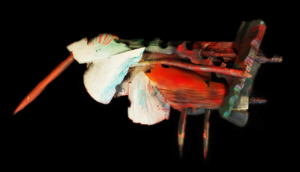 Image of 12