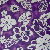 Image of Purple White Hibiscus