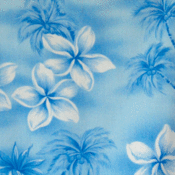 Image of Baby Blue Pineapples
