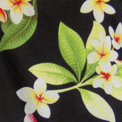 Image of Black White Plumeria