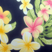Image of Black Gold Plumeria