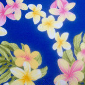 Image of Blue Gold Plumeria