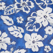 Image of Blue White Hibiscus