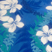 Image of Blue White Plumeria
