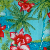 Image of Bright Hawaiian