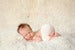 Image of Basic Baby Pants - 8 colors 