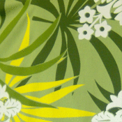 Image of Green Yellow Leaves