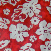 Image of Red White Hibiscus