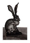 Image of Hare