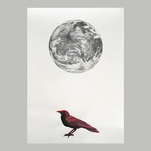 Image of Odin