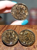 Image of 1 1/8" Seahorse Plugs!