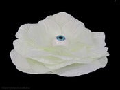 Image of Eye Flower - Cream