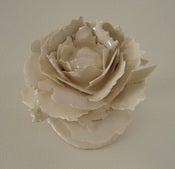 Image of Baby Flowering 