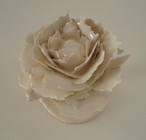 Image of Baby Flowering