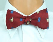 Image of Doctor Whoovesbow-tie