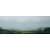 Image of Gill Rocca: Valley