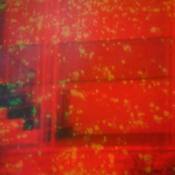 Image of BULLEN, NICHOLAS  Component Fixations LP  (Type)