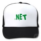 Image of .Net hat