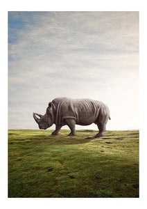Image of Rhino.