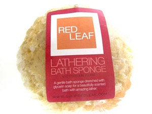 Image of  Lathering Bath and Shower Sponge 