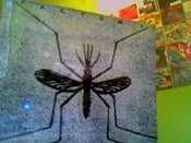 Image of Factums-Spells and charms CD