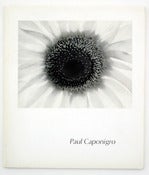 Image of Paul Caponigro: Aperture 13:1