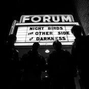 Image of Night Birds - The Other Side Of Darkness LP