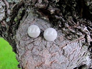 Image of Novelty Button Earring Collection 
