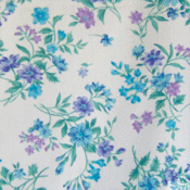 Image of Baby Blue