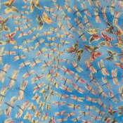 Image of Butterflies