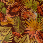 Image of Fall Leaves