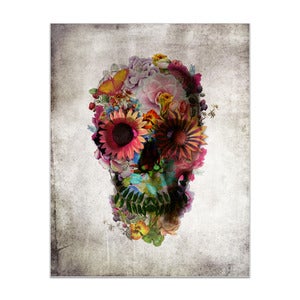 Image of Skull 2 by Ali Gulec