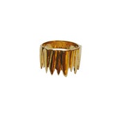 Image of Forefinger Fang Crown