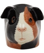 Image of GUINEA PIG EGG CUP 