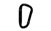 Image of Mathematics Carabiner