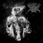 Image of Burmese/Cadaver Eyes split cd
