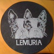 Image of Slipmats - Hot Water Music, No Idea Records "Stressface", Lemuria