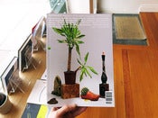 Image of TOO MUCH #4