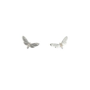 Image of Moth Studs Small - Silver / Teal / Bronze