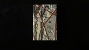 Image of Circle of Ouroborus - Rajanveto CS