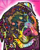 Image of Rottie PRINT