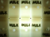 Image of MILK BIKE POLO HEADS