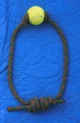 Image of The Quickdraw