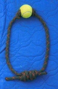 Image of The Quickdraw