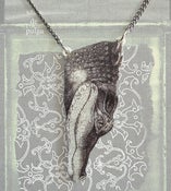 Image of ::Cocodrilo::