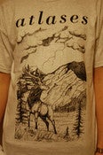 Image of Mountain Stag